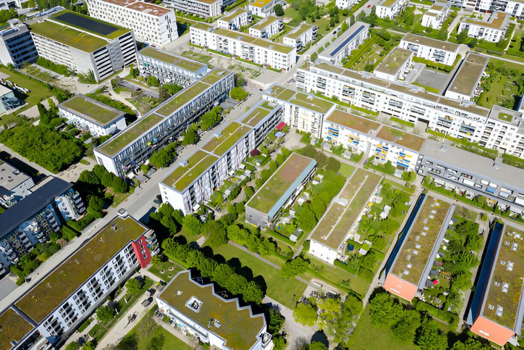 green roof services