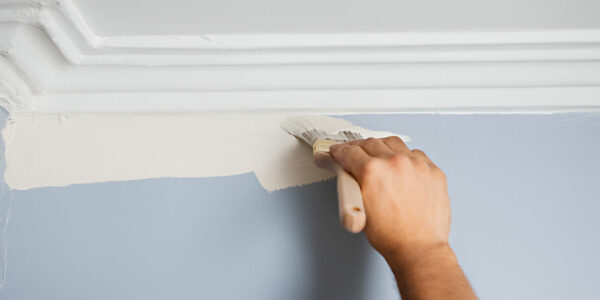 wall and ceiling painting