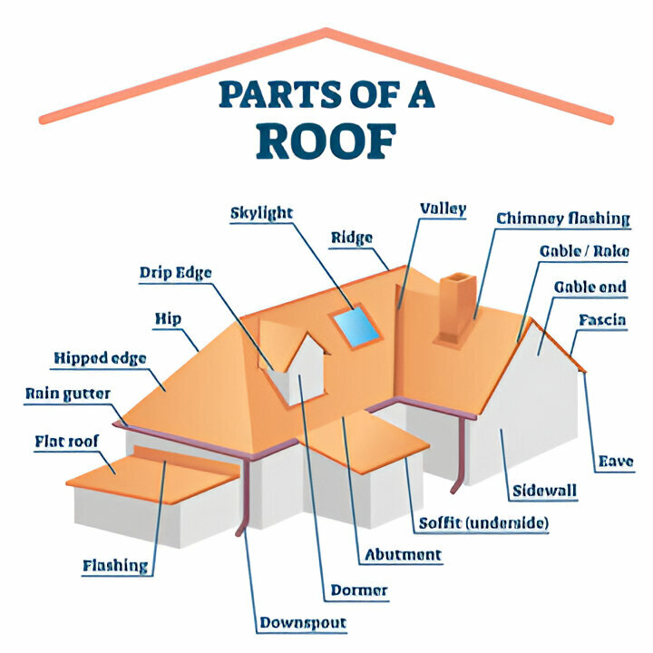 parts of the roof