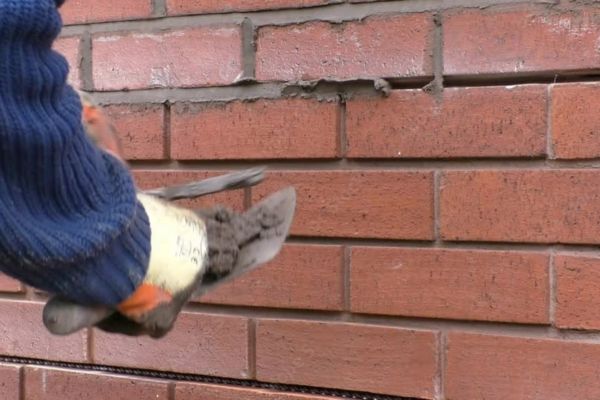 tuckpointing md